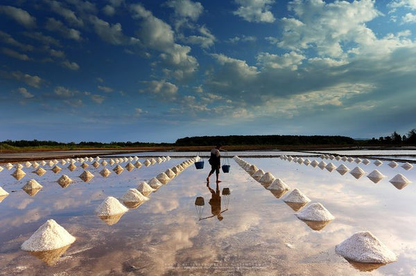 Sea Salt