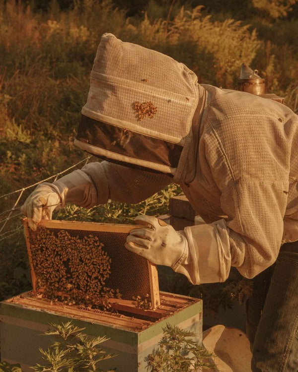 Organic Honey