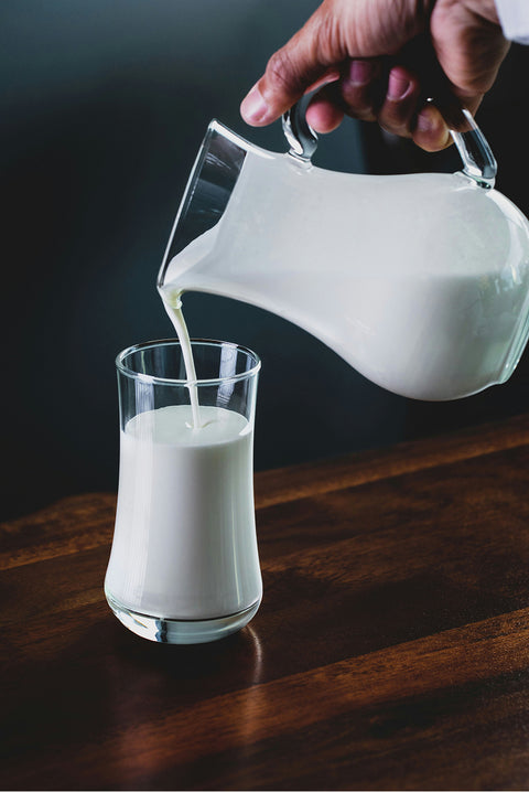 Whey Protein